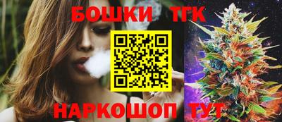 МДПВ Сланцы