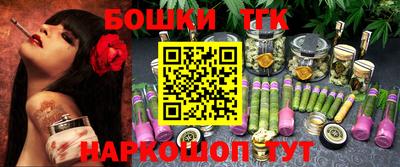 МДПВ Сланцы