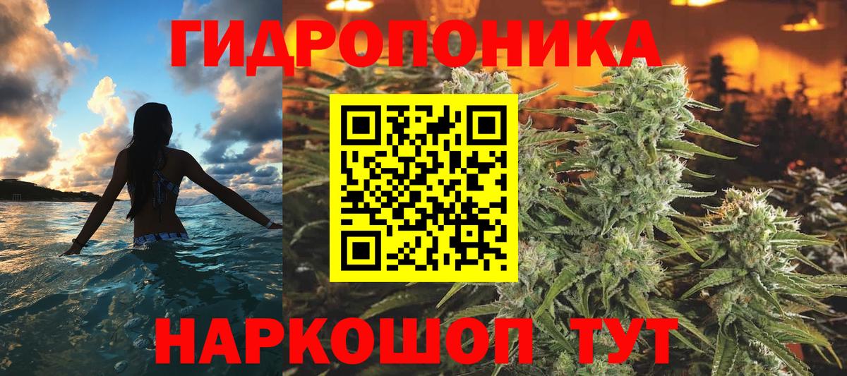 Бошки марихуана гибрид Архангельск